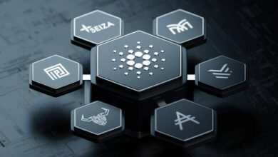 CardanoistimMaiindieHöhegeschossen,kannesimJunidorthinzurückkehren?