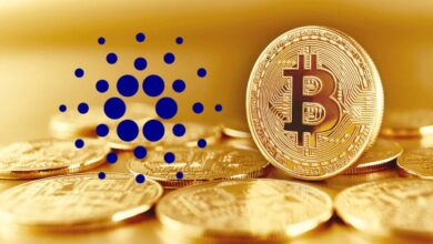 CardanoundDogecoinsteigenum%,währendBitcoinum.US Dollarkämpft(MarketWatch)