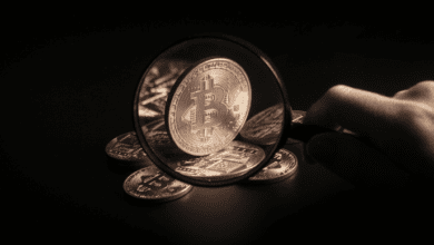 ChainalysisimWertvon,MilliardenUS DollarnacheinerErhöhungvonMillionenUS Dollar