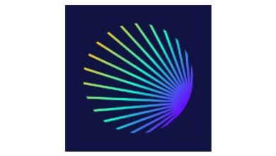 Das explosive Wachstum von DeFi – Wer ist gefährdet?