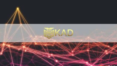 Der Kaido Coin (KAD) von Polkaido Exchange wird im Juni über eine IDO gestartet