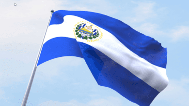 DerPräsidentvonElSalvadorreagiertaufKritikerundsagt,Bitcoin Plansei„kugelsicher“