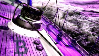 Der legendäre Trader Peter Brandt sagt, dass er jetzt bequemer Bargeld als Krypto halten kann – hier ist der Grund