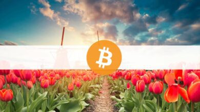 Die Niederlande müssen Bitcoin vor dem Preisabsturz verbieten, sagt ein niederländischer Beamter