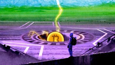 DieReichstenderWelthabengroßePlänefürBitcoinundKrypto:Top AnalystTylerSwope