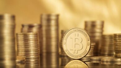 DieinHongkongansässigeAmberGrouperreichtnachneuerFinanzierungeineBewertungvonMilliardeUS Dollar