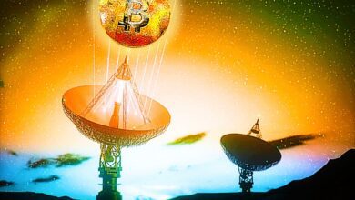 DieneuestenBitcoin KommentarevonElonMusksignalisierenlautTop AnalysteinemassiveVerschiebungdesBTC Trends