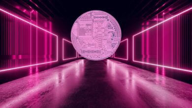 Dieser aufstrebende Altcoin ist eindeutig der ehrgeizigste im gesamten Kryptoraum, sagt Macro Guru Raoul Pal