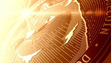 Dogecoin AssetdesJahres,sagtderCEOvonCryptoExchange–hieristderGrund