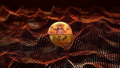 DrastischerWandelimVerhaltenlangfristigerBitcoin InhaberimGange:On Chain AnalystwirdClemente