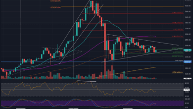ETH BullenverteidigeneinekritischeUnterstützungnacheinerAblehnungbei,K