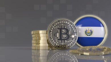 El Salvador bekommt keine Hilfe bei der Einführung von BTC