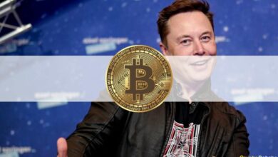 Elon Musk hat die bullische Woche von Bitcoin getötet: Die Crypto Weekly Recap