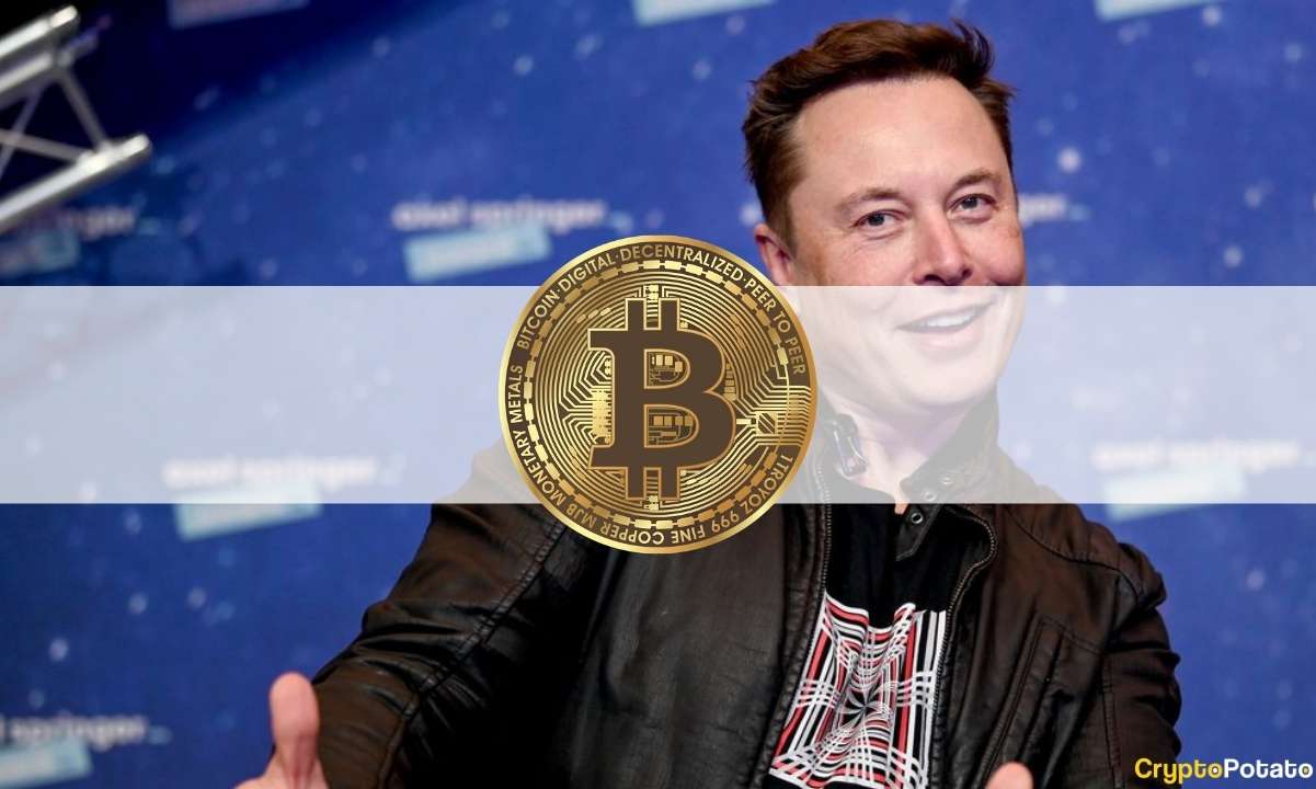 Elon Musk hat die bullische Woche von Bitcoin getötet: Die Crypto Weekly Recap