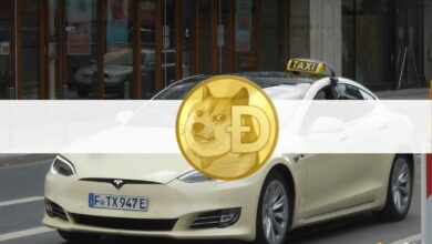 ElonMuskinspirierteeindeutschesTesla Taxiunternehmen,umDogecoin Zahlungenzuermöglichen