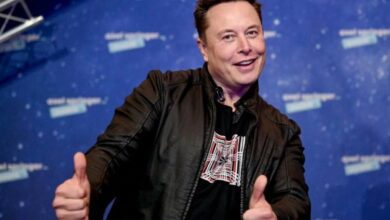 Elon Musk neckt Bitcoin Maximilsts erneut