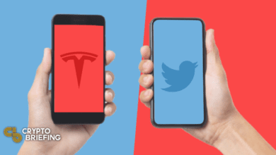 Elon Musk und Jack Dorsey sind bereit, über Bitcoin zu sprechen