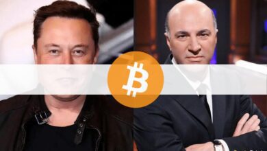 ElonMuskwurdevonTesla AktionärenunterDruckgesetzt,Bitcoin Zahlungeneinzustellen,sagtKevinO'Leary