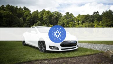 ElonMusksTeslasollteADAakzeptieren,sagtCardano GründerCharlesHoskinson