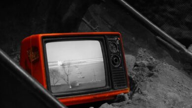 Foxkündigteinen Millionen Dollar FondsfürNFTsunterBlockchainCreativeLabsan