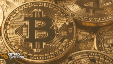 Guggenheim legt neuen Fonds vor, kann Bitcoin zuteilen