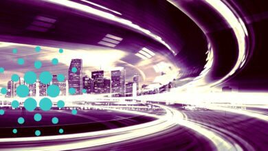 HiersinddiewichtigstenbullischenNiveausfürCardanoundAltcoins,währenddieKryptomärkteabprallen:MichaëlvandePoppe