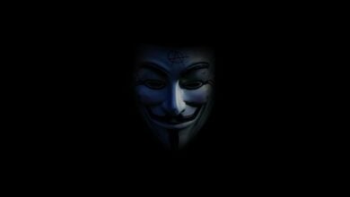 Ihre Tweets haben Leben zerstört – Anonyme Hacktivisten erzählen Elon Musk
