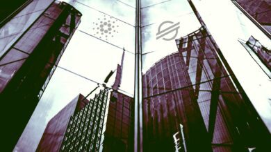 Institutionelles Geld bewegt sich zu Cardano und Stellar, während Bitcoin und Ethereum eine Verschnaufpause einlegen: CoinShares