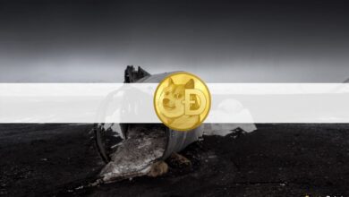 Investoren bitten Elon Musk um Hilfe