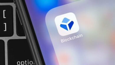 Ist die Stabilität von Bitcoin ein Zeichen seiner Reife? Mitbegründer von Blockchain.com stimmt zu