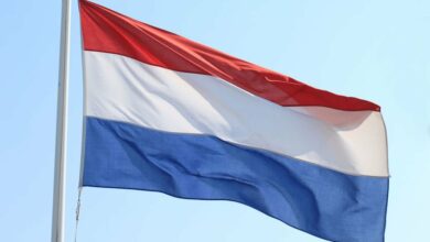 Kryptowährungen so schnell wie möglich verbieten – ein niederländischer Beamter schlägt vor