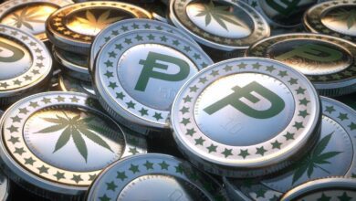 Lohnt es sich PotCoin zum aktuellen Preis zu kaufen?