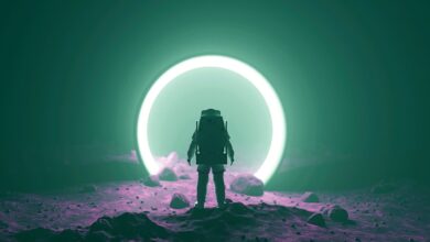 MacroGuruRaoulPalsagt,ersetztaufdieseaufstrebendenKrypto Assets