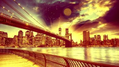 Milliardär Steve Cohen plant tief in Krypto einzutauchen und nennt Blockchain „transformationell“ und „disruptiv“