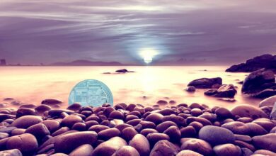 NFTCrazekühltab,daderUmsatzseitMaium%eingebrochenist