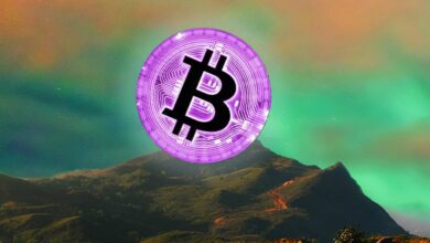 NachderVorhersageeinesZusammenbruchsvonBitcoinauf.US DollarändertderMakrostrategebeiFidelityabruptdenKrypto Ausblick