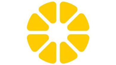 Next GenDeFiTokenLaunchpadLemonadekündigtöffentlichenVerkaufvonDePoIDOan