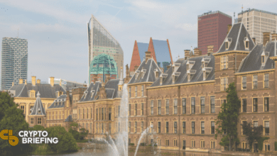 NiederländischerWirtschaftsberaterfordertpauschalesBitcoin Verbot