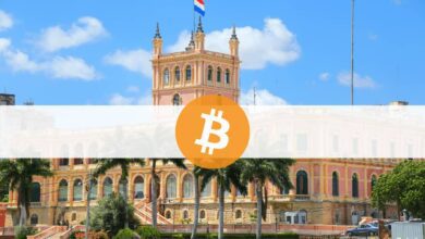 Offizielle Hinweise in Paraguay zu einem großen Regierungsprojekt mit Bitcoin und PayPal
