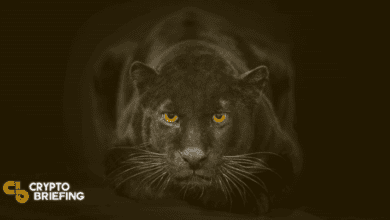 PantherProtocolbringtMillionenUS DollarfürDeFi Datenschutzlösungein
