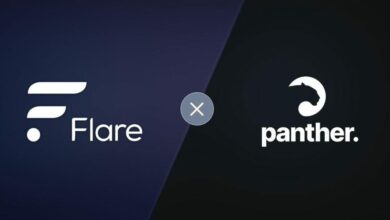 Panther Protocol bringt Datenschutz und Vertraulichkeit in Flare Network