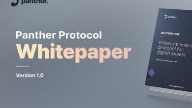 PantherProtocolveröffentlichtWhitepaperfüreinedurchgängigeDeFi Datenschutzlösung
