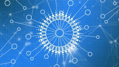 Polkadot wurde kurz nach der Listung von Dogecoin auf CoinbasePro gestartet