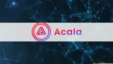 PolkadotsAcalasammeltüberMillionenUS DollaranKSM TokeninKusamasParachain Auktion