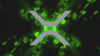 ProminenteAnalystengebeneinriesigesAufwärtszielfürXRPanundsagen,dassKrypto AssetmöglicherweisedieTalsohlegegenüberBitcoinerreichthat