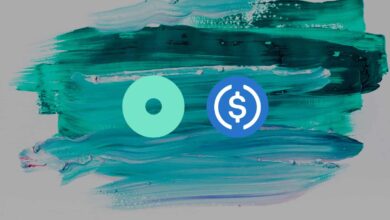 Public Mint integriert sich in USDC, um eine Brücke zu Ethereum anzubieten