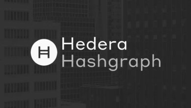 Sollten Sie Hedera Hashgraph kaufen? In ein verwaltetes Netzwerk investieren