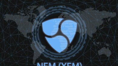 Sollten Sie jetzt New Economy Movement (XEM) kaufen?