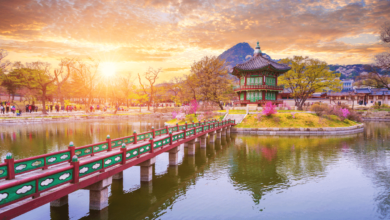 Südkoreanische Börsen könnten die Regierung verklagen: Bericht