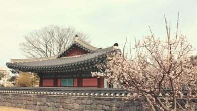 Südkoreanische Börsen streichen weitere Altcoins, um die Bankanforderungen zu erfüllen